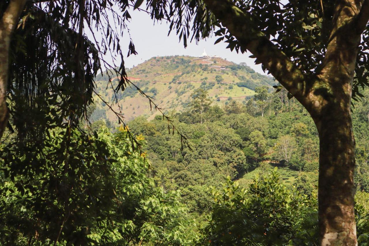 Nature Walk Элла Экстерьер фото